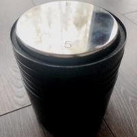 sartorius 5kg гиря