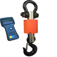 крановые весы с радиоканалом