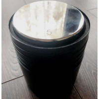 Гиря образцовая Sartorius 5кг, класс точности F2 (3 класс)